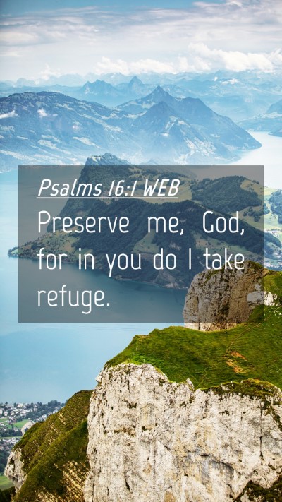 Picture 04 - Psalms 16:1 WEB Mobile Phone Wallpaper - Preserve me, God, for in you do I take - Mobile Bible Verse Wallpaper
