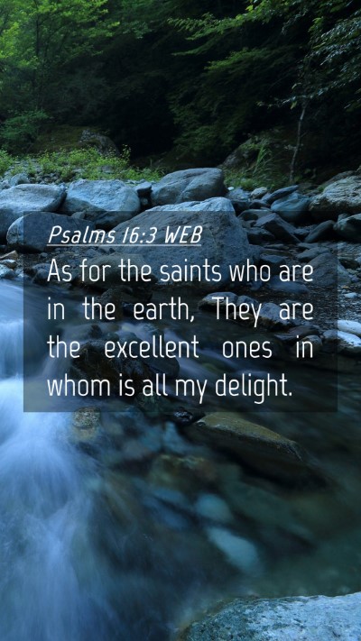Picture 04 - Psalms 16:3 WEB Mobile Phone Wallpaper - As for the saints who are in the earth, They are - Mobile Bible Verse Wallpaper