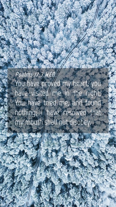 Picture 04 - Psalms 17:3 WEB Mobile Phone Wallpaper - You have proved my heart; you have visited me in - Mobile Bible Verse Wallpaper