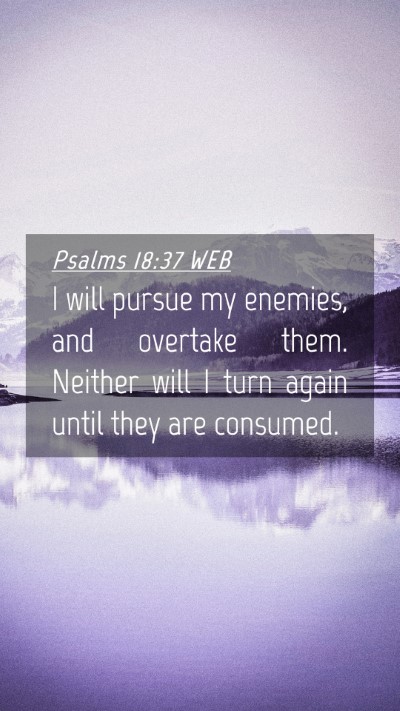 Picture 04 - Psalms 18:37 WEB Mobile Phone Wallpaper - I will pursue my enemies, and overtake them. - Mobile Bible Verse Wallpaper