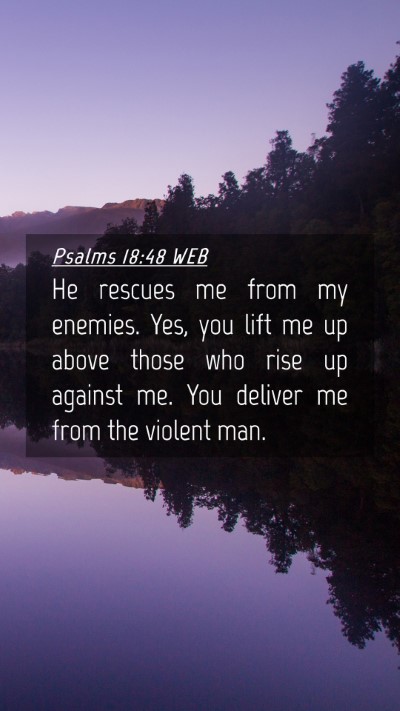 Picture 04 - Psalms 18:48 WEB Mobile Phone Wallpaper - He rescues me from my enemies. Yes, you lift me - Mobile Bible Verse Wallpaper