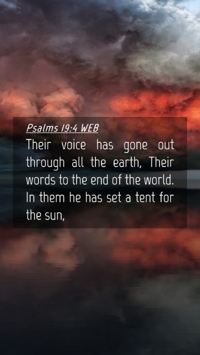 Picture 04 - Psalms 19:4 WEB Mobile Phone Wallpaper - Their voice has gone out through all the earth, - Mobile Bible Verse Wallpaper