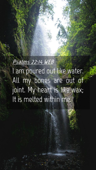 Picture 04 - Psalms 22:14 WEB Mobile Phone Wallpaper - I am poured out like water. All my bones are out - Mobile Bible Verse Wallpaper