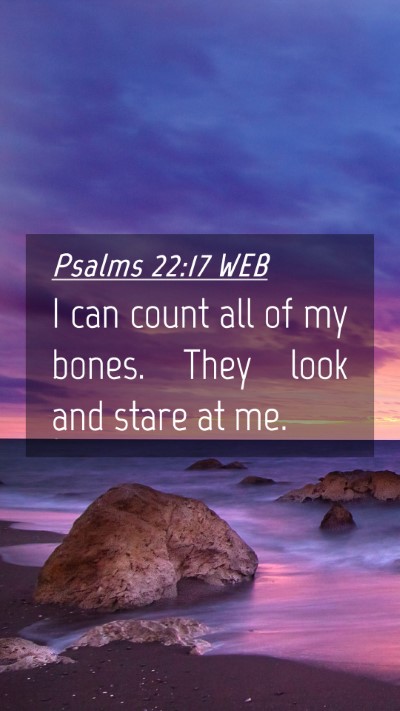 Picture 04 - Psalms 22:17 WEB Mobile Phone Wallpaper - I can count all of my bones. They look and stare - Mobile Bible Verse Wallpaper