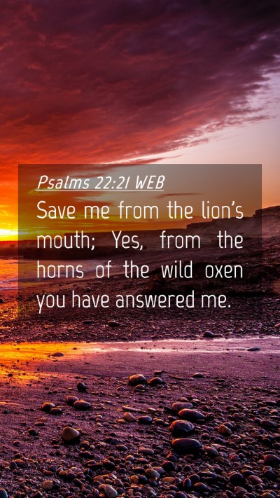 Picture 04 - Psalms 22:21 WEB Mobile Phone Wallpaper - Save me from the lion's mouth; Yes, from the - Mobile Bible Verse Wallpaper