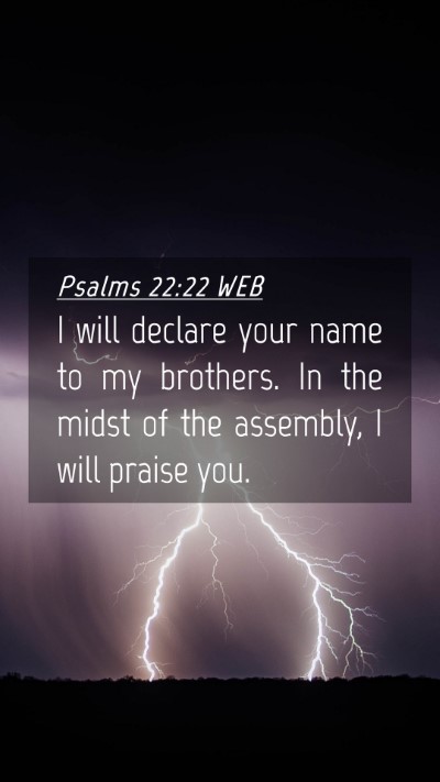 Picture 04 - Psalms 22:22 WEB Mobile Phone Wallpaper - I will declare your name to my brothers. In the - Mobile Bible Verse Wallpaper