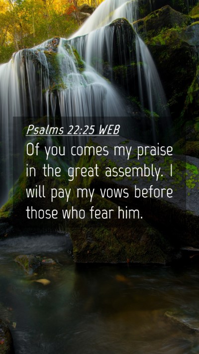 Picture 04 - Psalms 22:25 WEB Mobile Phone Wallpaper - Of you comes my praise in the great assembly. I - Mobile Bible Verse Wallpaper