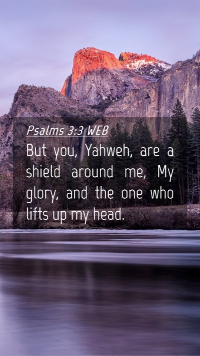 Picture 04 - Psalms 3:3 WEB Mobile Phone Wallpaper - But you, Yahweh, are a shield around me, My - Mobile Bible Verse Wallpaper
