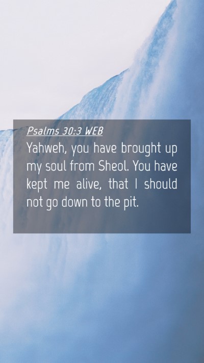 Picture 04 - Psalms 30:3 WEB Mobile Phone Wallpaper - Yahweh, you have brought up my soul from Sheol. - Mobile Bible Verse Wallpaper