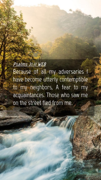 Picture 04 - Psalms 31:11 WEB Mobile Phone Wallpaper - Because of all my adversaries I have become - Mobile Bible Verse Wallpaper