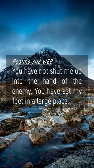 Picture 04 - Psalms 31:8 WEB Mobile Phone Wallpaper - You have not shut me up into the hand of the - Mobile Bible Verse Wallpaper