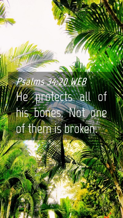 Picture 04 - Psalms 34:20 WEB Mobile Phone Wallpaper - He protects all of his bones. Not one of them is - Mobile Bible Verse Wallpaper