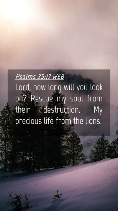 Picture 04 - Psalms 35:17 WEB Mobile Phone Wallpaper - Lord, how long will you look on? Rescue my soul - Mobile Bible Verse Wallpaper