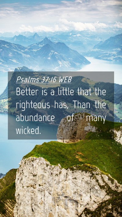 Picture 04 - Psalms 37:16 WEB Mobile Phone Wallpaper - Better is a little that the righteous has, Than - Mobile Bible Verse Wallpaper