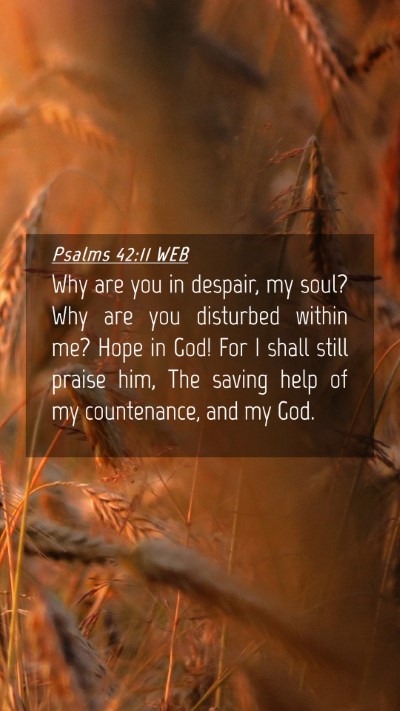 Picture 04 - Psalms 42:11 WEB Mobile Phone Wallpaper - Why are you in despair, my soul? Why are you - Mobile Bible Verse Wallpaper