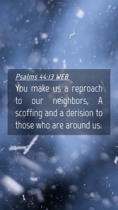 Picture 04 - Psalms 44:13 WEB Mobile Phone Wallpaper - You make us a reproach to our neighbors, A - Mobile Bible Verse Wallpaper