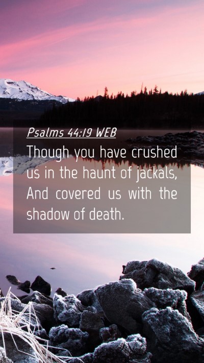 Picture 04 - Psalms 44:19 WEB Mobile Phone Wallpaper - Though you have crushed us in the haunt of - Mobile Bible Verse Wallpaper