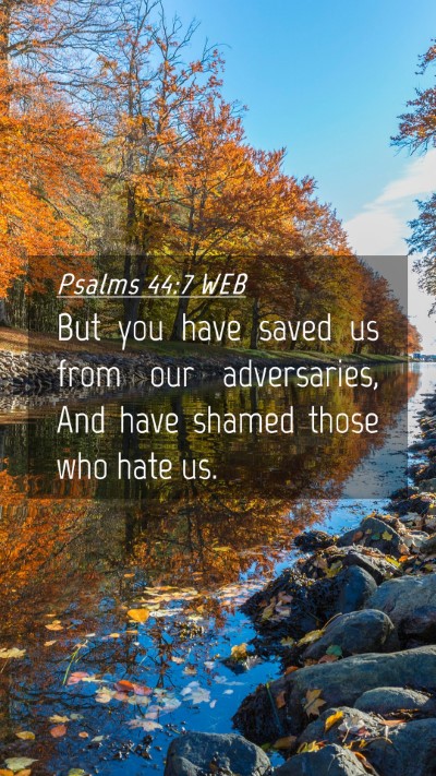 Picture 04 - Psalms 44:7 WEB Mobile Phone Wallpaper - But you have saved us from our adversaries, And - Mobile Bible Verse Wallpaper