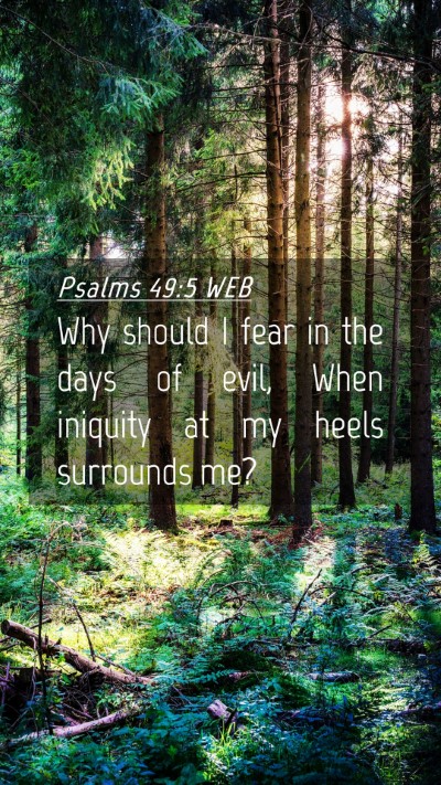 Picture 04 - Psalms 49:5 WEB Mobile Phone Wallpaper - Why should I fear in the days of evil, When - Mobile Bible Verse Wallpaper