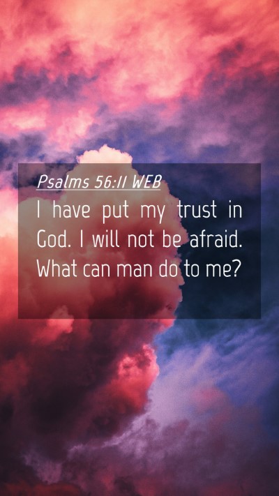 Picture 04 - Psalms 56:11 WEB Mobile Phone Wallpaper - I have put my trust in God. I will not be afraid. - Mobile Bible Verse Wallpaper