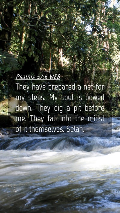 Picture 04 - Psalms 57:6 WEB Mobile Phone Wallpaper - They have prepared a net for my steps. My soul is - Mobile Bible Verse Wallpaper