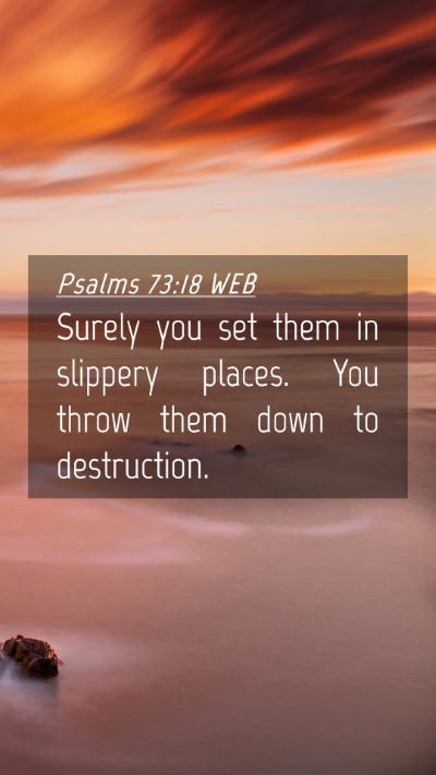 Picture 04 - Psalms 73:18 WEB Mobile Phone Wallpaper - Surely you set them in slippery places. You throw - Mobile Bible Verse Wallpaper