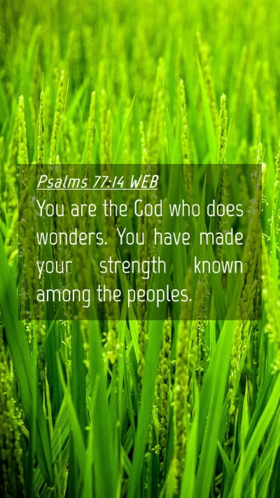 Picture 04 - Psalms 77:14 WEB Mobile Phone Wallpaper - You are the God who does wonders. You have made - Mobile Bible Verse Wallpaper