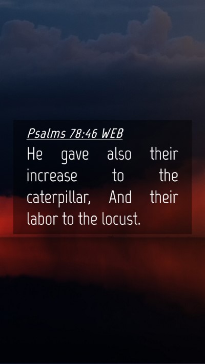 Picture 04 - Psalms 78:46 WEB Mobile Phone Wallpaper - He gave also their increase to the caterpillar, - Mobile Bible Verse Wallpaper