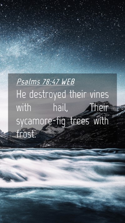 Picture 04 - Psalms 78:47 WEB Mobile Phone Wallpaper - He destroyed their vines with hail, Their - Mobile Bible Verse Wallpaper