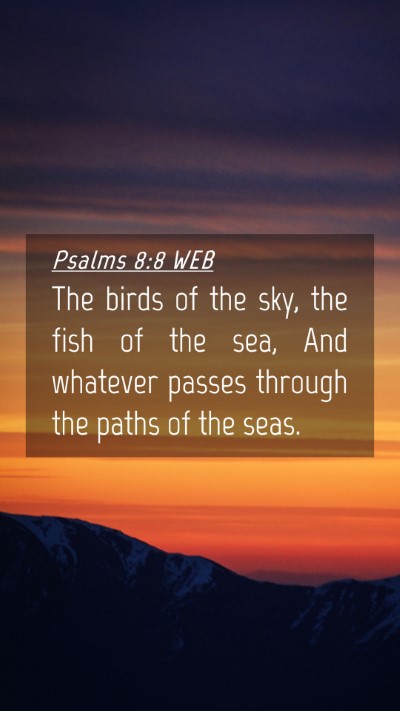 Picture 04 - Psalms 8:8 WEB Mobile Phone Wallpaper - The birds of the sky, the fish of the sea, And - Mobile Bible Verse Wallpaper