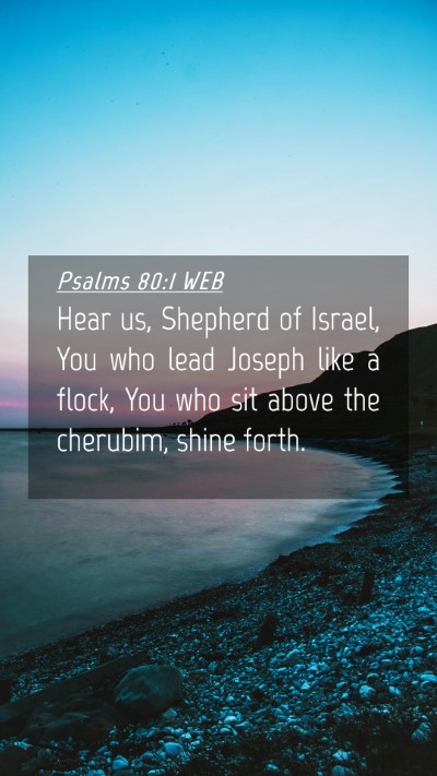 Picture 04 - Psalms 80:1 WEB Mobile Phone Wallpaper - Hear us, Shepherd of Israel, You who lead Joseph - Mobile Bible Verse Wallpaper