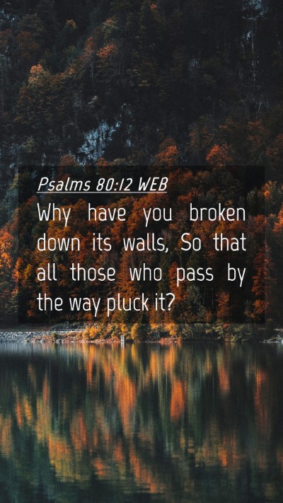 Picture 04 - Psalms 80:12 WEB Mobile Phone Wallpaper - Why have you broken down its walls, So that all - Mobile Bible Verse Wallpaper