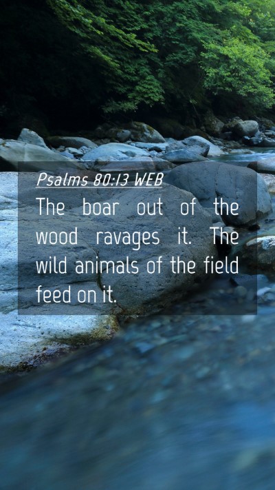 Picture 04 - Psalms 80:13 WEB Mobile Phone Wallpaper - The boar out of the wood ravages it. The wild - Mobile Bible Verse Wallpaper