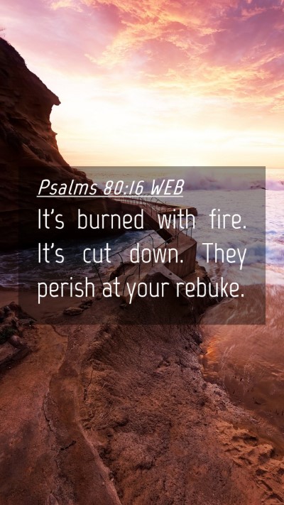 Picture 04 - Psalms 80:16 WEB Mobile Phone Wallpaper - It's burned with fire. It's cut down. They perish - Mobile Bible Verse Wallpaper