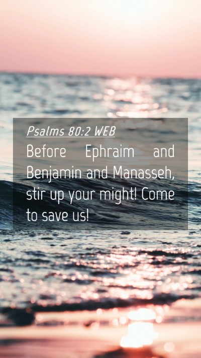 Picture 04 - Psalms 80:2 WEB Mobile Phone Wallpaper - Before Ephraim and Benjamin and Manasseh, stir up - Mobile Bible Verse Wallpaper