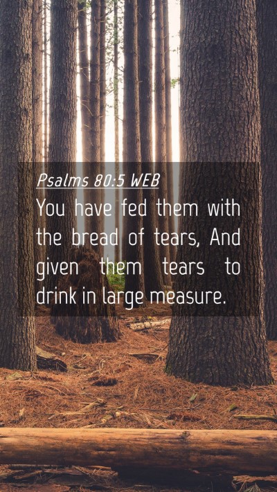 Picture 04 - Psalms 80:5 WEB Mobile Phone Wallpaper - You have fed them with the bread of tears, And - Mobile Bible Verse Wallpaper
