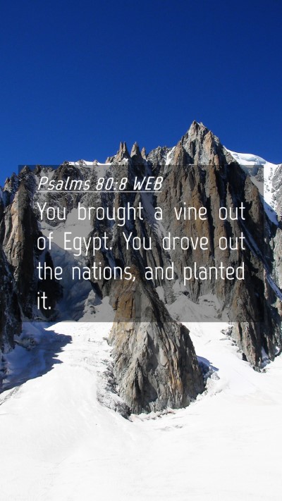 Picture 04 - Psalms 80:8 WEB Mobile Phone Wallpaper - You brought a vine out of Egypt. You drove out - Mobile Bible Verse Wallpaper