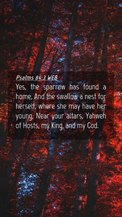Picture 04 - Psalms 84:3 WEB Mobile Phone Wallpaper - Yes, the sparrow has found a home, And the - Mobile Bible Verse Wallpaper