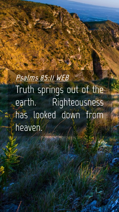Picture 04 - Psalms 85:11 WEB Mobile Phone Wallpaper - Truth springs out of the earth. Righteousness has - Mobile Bible Verse Wallpaper