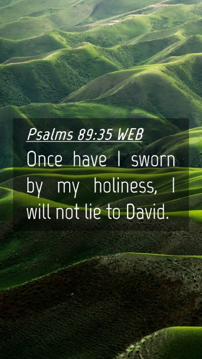 Picture 04 - Psalms 89:35 WEB Mobile Phone Wallpaper - Once have I sworn by my holiness, I will not lie - Mobile Bible Verse Wallpaper