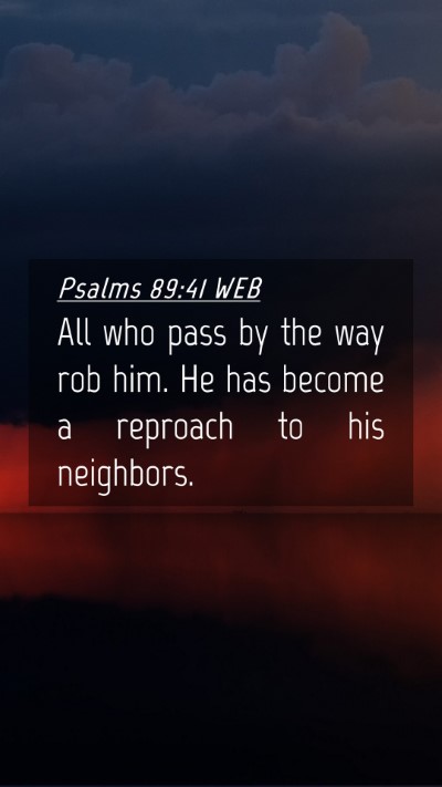 Picture 04 - Psalms 89:41 WEB Mobile Phone Wallpaper - All who pass by the way rob him. He has become a - Mobile Bible Verse Wallpaper