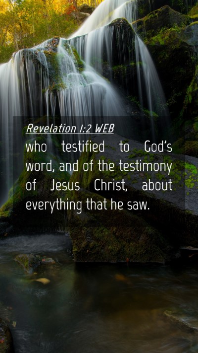 Picture 04 - Revelation 1:2 WEB Mobile Phone Wallpaper - who testified to God's word, and of the testimony - Mobile Bible Verse Wallpaper
