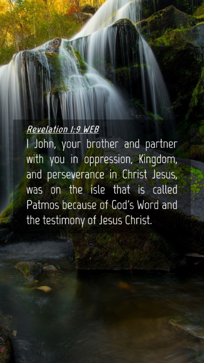 Picture 04 - Revelation 1:9 WEB Mobile Phone Wallpaper - I John, your brother and partner with you in - Mobile Bible Verse Wallpaper