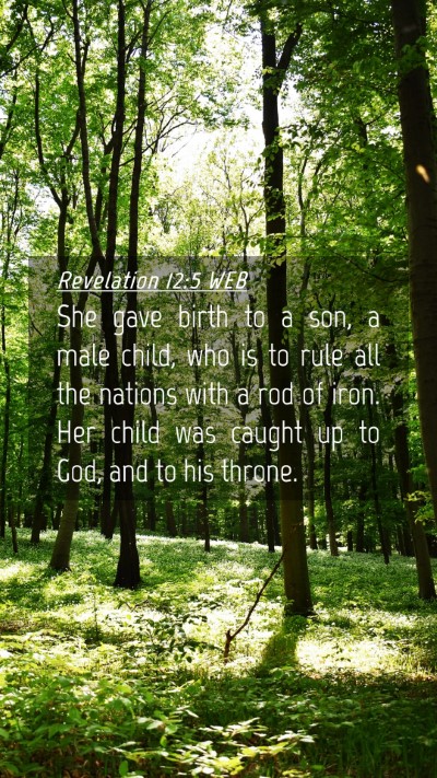 Picture 04 - Revelation 12:5 WEB Mobile Phone Wallpaper - She gave birth to a son, a male child, who is to - Mobile Bible Verse Wallpaper