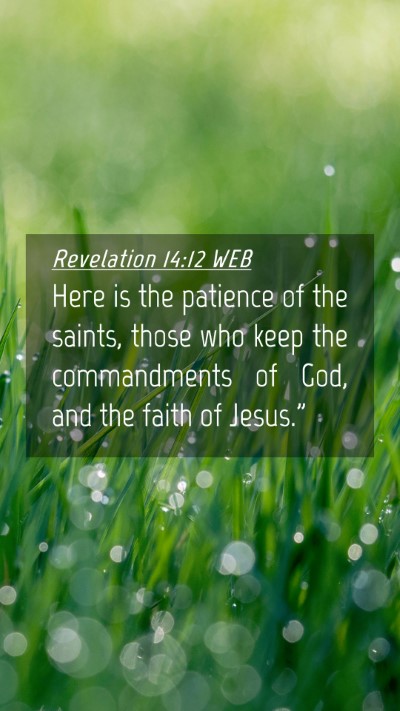Picture 04 - Revelation 14:12 WEB Mobile Phone Wallpaper - Here is the patience of the saints, those who - Mobile Bible Verse Wallpaper