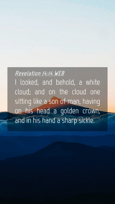 Picture 04 - Revelation 14:14 WEB Mobile Phone Wallpaper - I looked, and behold, a white cloud; and on the - Mobile Bible Verse Wallpaper