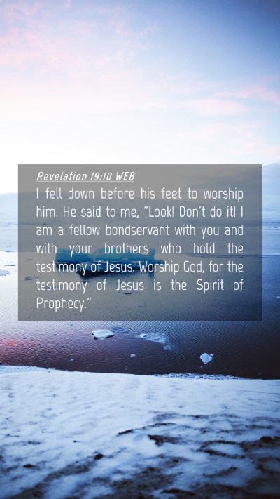 Picture 04 - Revelation 19:10 WEB Mobile Phone Wallpaper - I fell down before his feet to worship him. He - Mobile Bible Verse Wallpaper