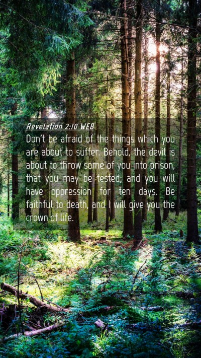 Picture 04 - Revelation 2:10 WEB Mobile Phone Wallpaper - Don't be afraid of the things which you are about - Mobile Bible Verse Wallpaper