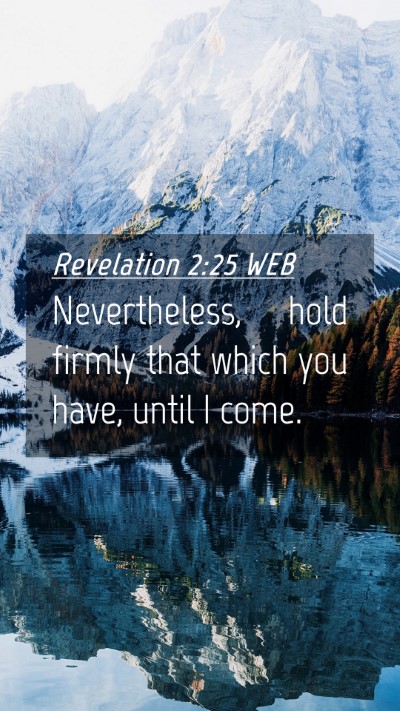 Picture 04 - Revelation 2:25 WEB Mobile Phone Wallpaper - Nevertheless, hold firmly that which you have, - Mobile Bible Verse Wallpaper