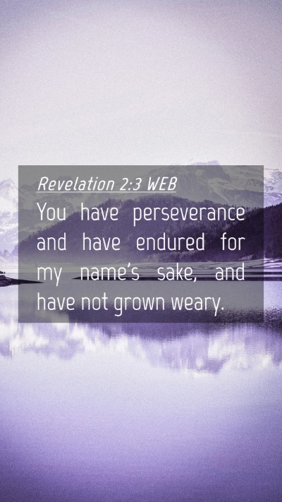 Picture 04 - Revelation 2:3 WEB Mobile Phone Wallpaper - You have perseverance and have endured for my - Mobile Bible Verse Wallpaper